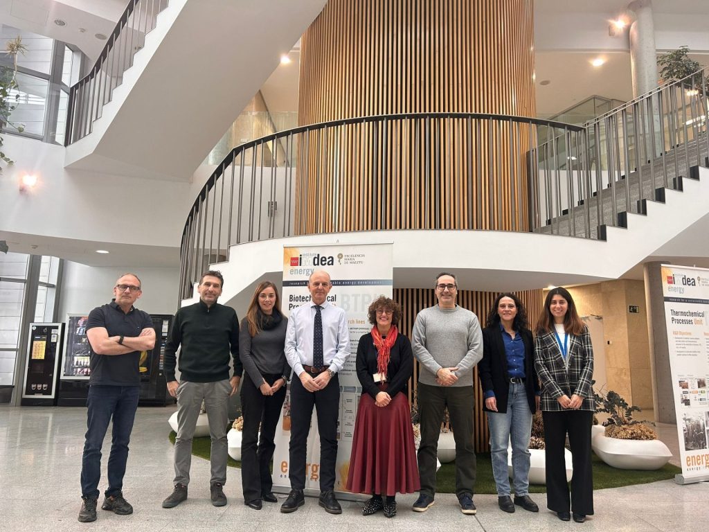 Reunión de lanzamiento del proyecto WAVE celebrada en IMDEA Energía (Madrid). (Fuente: IMDEA Energía). Dra. Cristina González Fernández, del ISP-UVa, tercera por la izquierda.